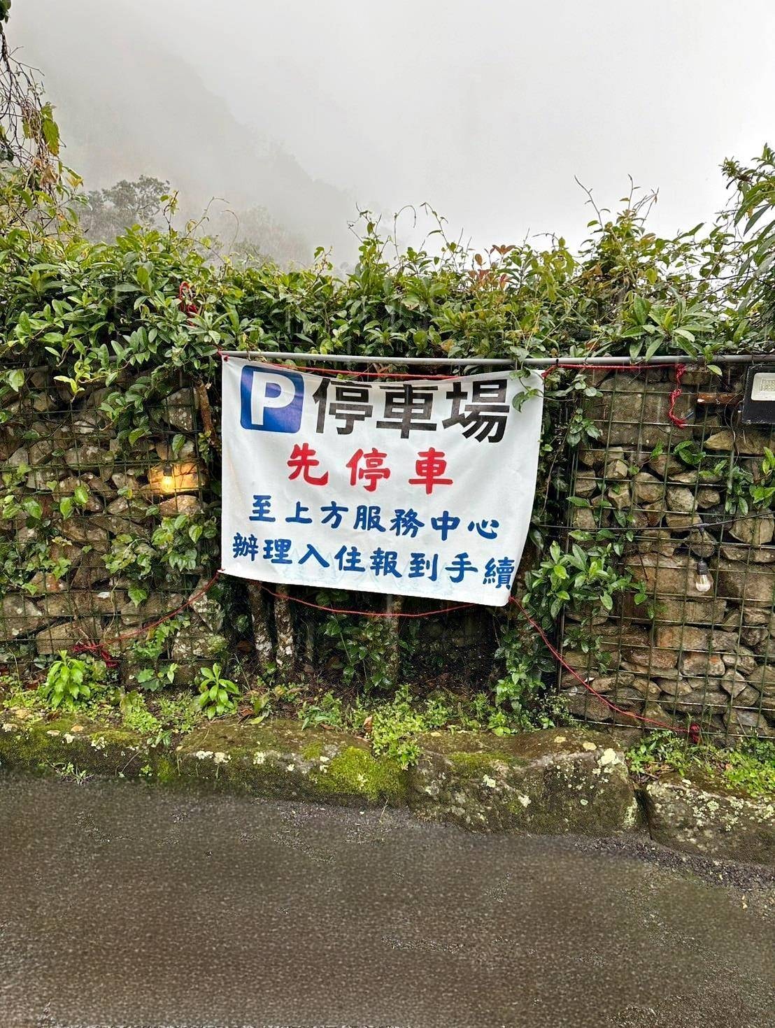 新竹縣尖石鄉露營推薦｜星空漫漫Starry Sky｜夜宿輕帳篷，林木蒼蒼花草扶疏，適合各年齡層之懶人露營入住心得分享！