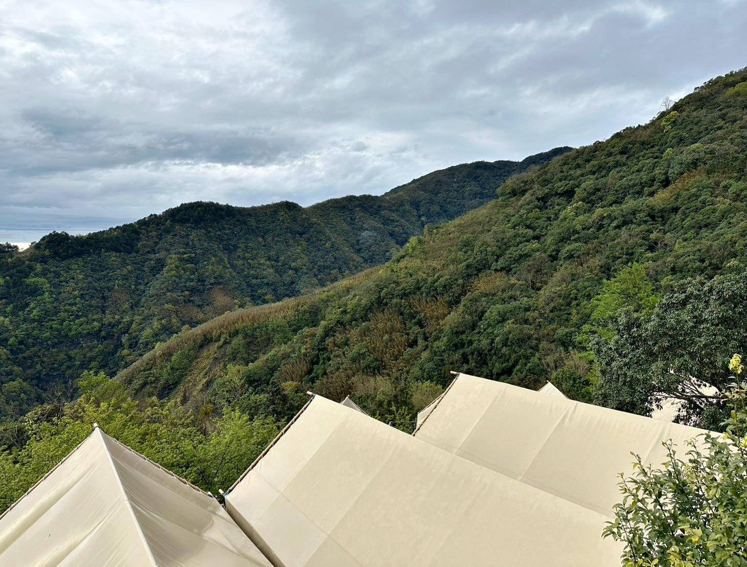 新竹縣尖石鄉露營推薦｜星空漫漫Starry Sky｜夜宿輕帳篷，林木蒼蒼花草扶疏，適合各年齡層之懶人露營入住心得分享！