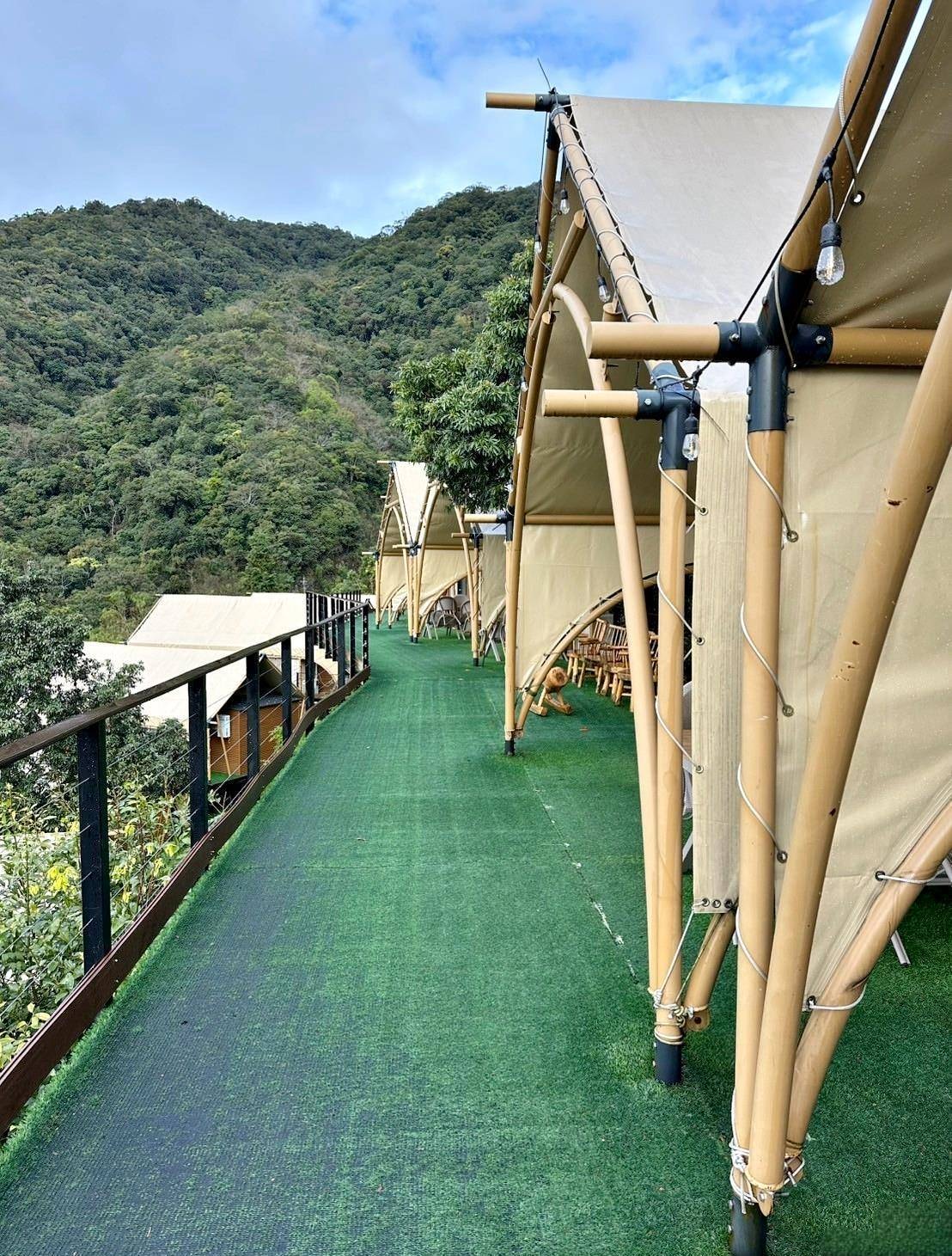 新竹縣尖石鄉露營推薦｜星空漫漫Starry Sky｜夜宿輕帳篷，林木蒼蒼花草扶疏，適合各年齡層之懶人露營入住心得分享！