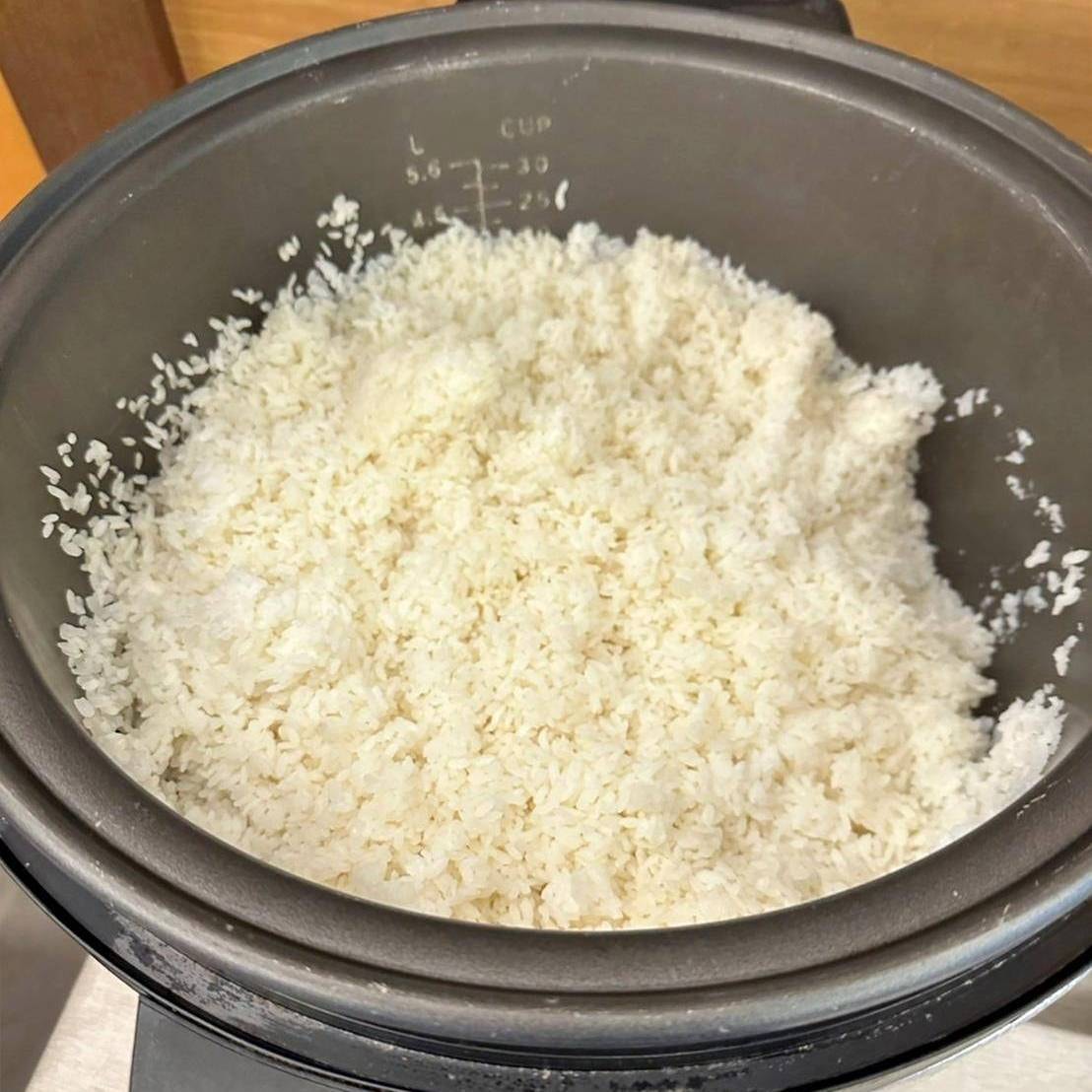 新竹縣尖石鄉露營推薦｜星空漫漫Starry Sky｜夜宿輕帳篷，林木蒼蒼花草扶疏，適合各年齡層之懶人露營入住心得分享！