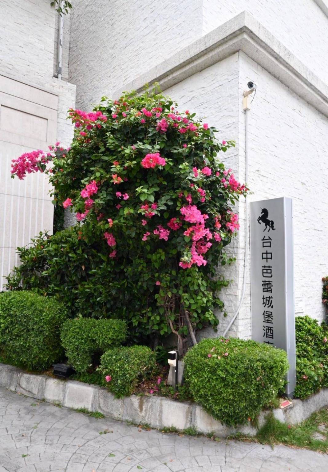 台中市南屯區住宿推薦｜台中芭蕾城堡酒店｜人與自然和諧共生的空間設計，踏入房間處處藏著驚喜，一泊一食，沉浸於靜謐自在氛圍中，芭蕾城堡酒店開箱分享！