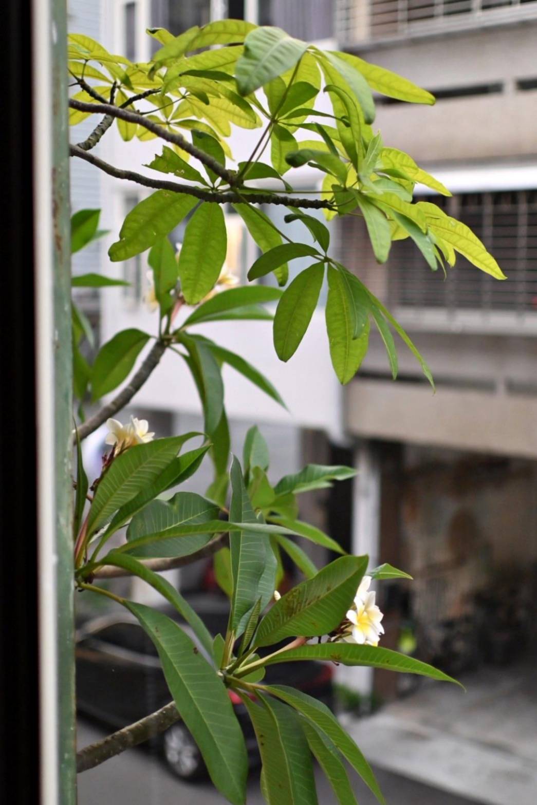 台中異國料理推薦｜台中市西區居無定所餐廳｜主廚匠心手作海鮮、唐揚雞、鴨胸、釜飯、特調飲品，創意美食饗宴，讓人一吃成主顧！