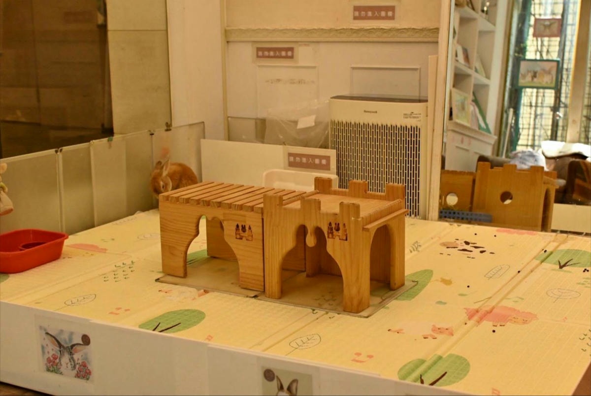 台中異國料理推薦｜台中市北屯區綠萼159 地中海南法料理｜全台唯一兔奴俱樂部，寵物友善餐廳，主打地中海南法料理，創意味蕾饗宴一吃就上癮！