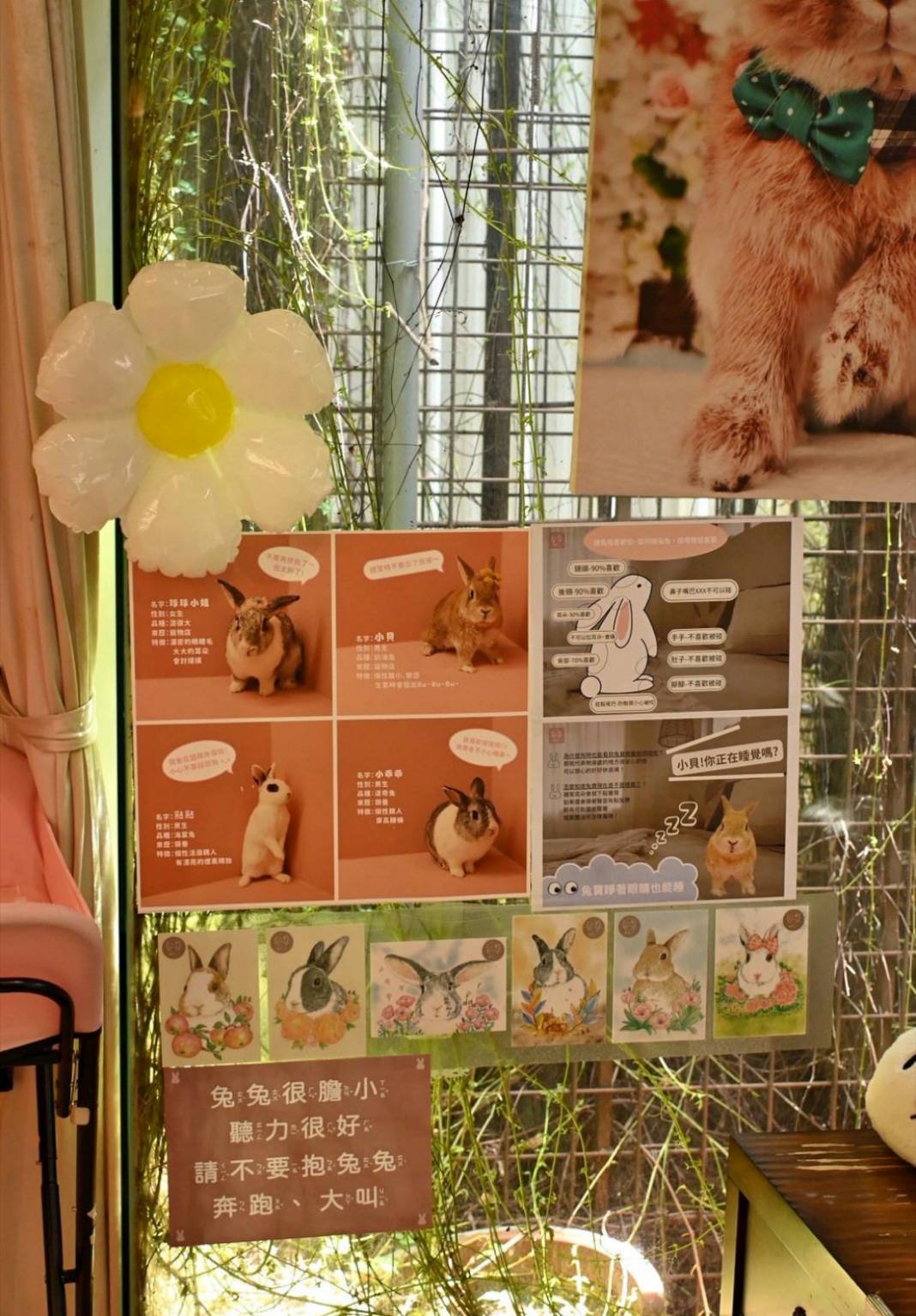 台中異國料理推薦｜台中市北屯區綠萼159 地中海南法料理｜全台唯一兔奴俱樂部，寵物友善餐廳，主打地中海南法料理，創意味蕾饗宴一吃就上癮！