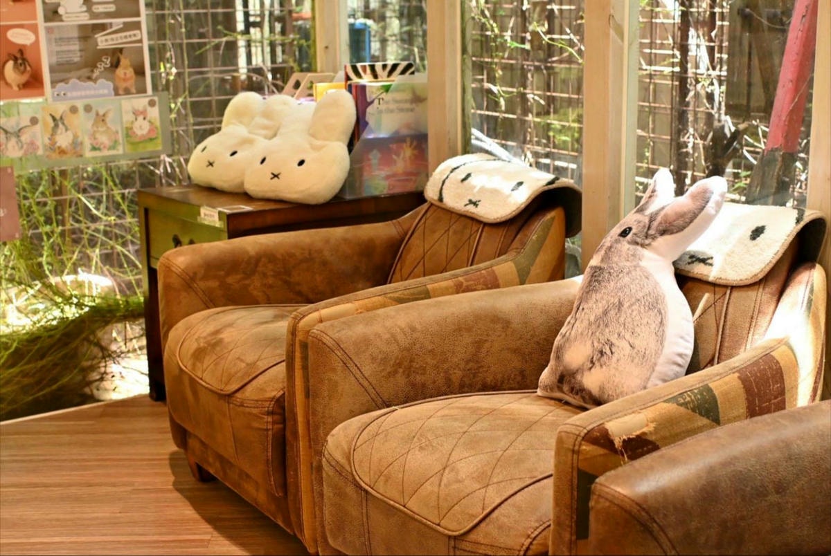 台中異國料理推薦｜台中市北屯區綠萼159 地中海南法料理｜全台唯一兔奴俱樂部，寵物友善餐廳，主打地中海南法料理，創意味蕾饗宴一吃就上癮！