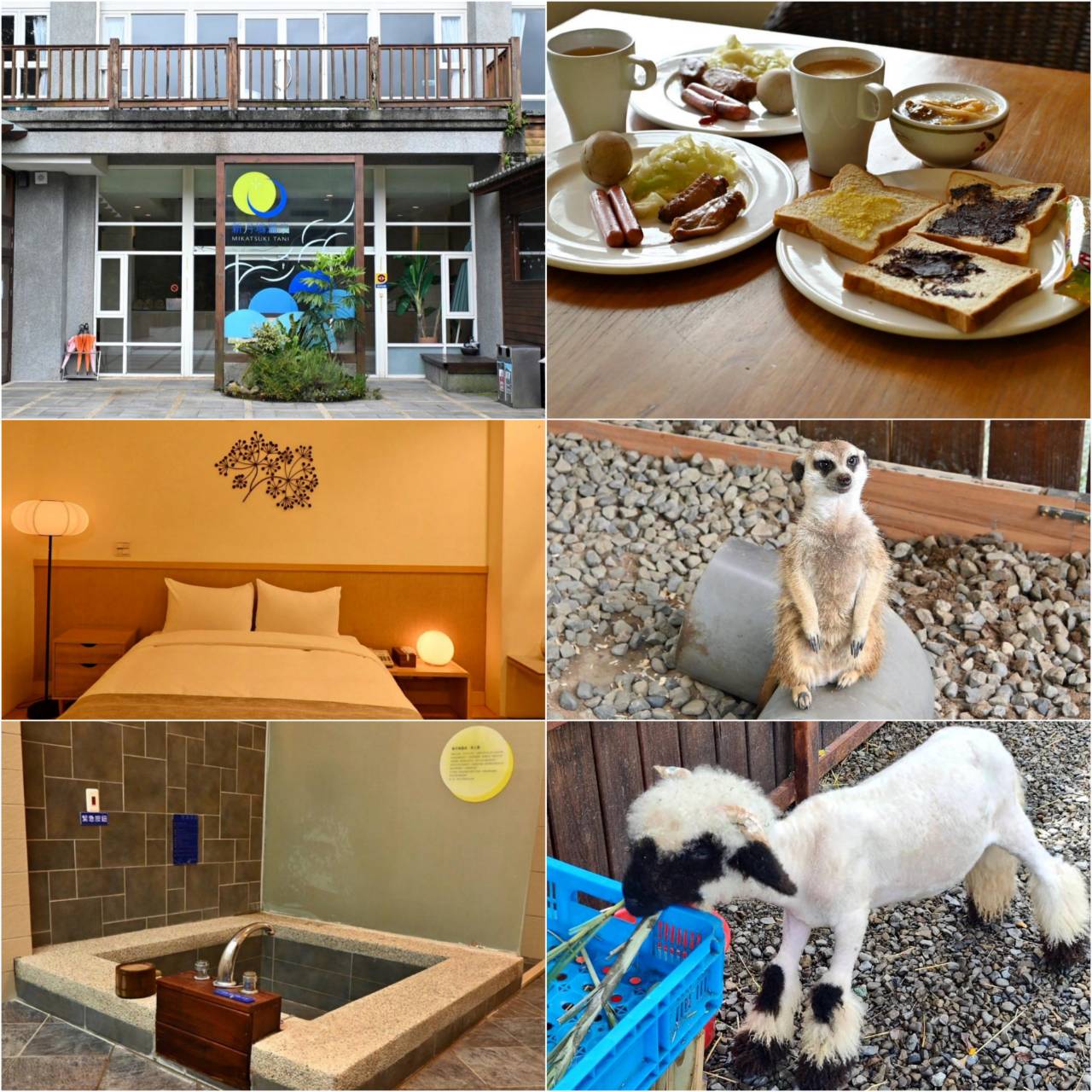 新竹縣尖石鄉溫泉會館推薦｜新月塢溫泉會館｜夜湯含早餐點心吧、可愛動物餵食體驗、附停車位，林木環繞泡湯放鬆，夜湯房型一次滿足！