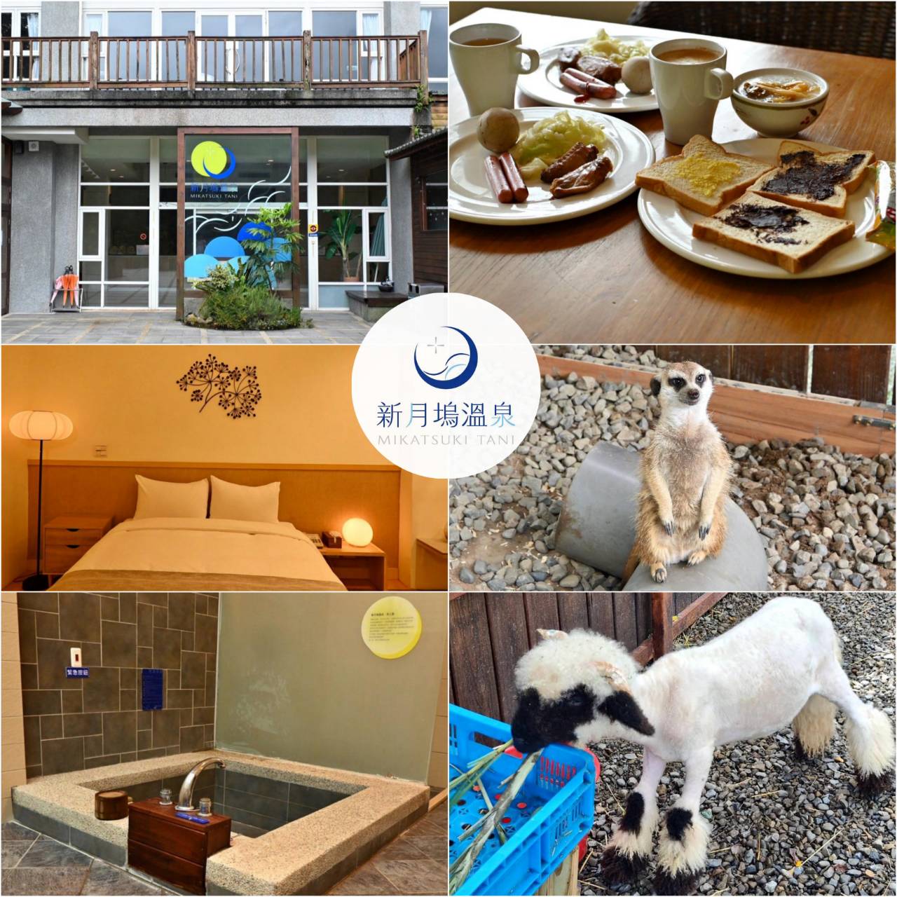 新竹縣尖石鄉溫泉會館推薦｜新月塢溫泉會館｜夜湯含早餐點心吧、可愛動物餵食體驗、附停車位，林木環繞泡湯放鬆，夜湯房型一次滿足！