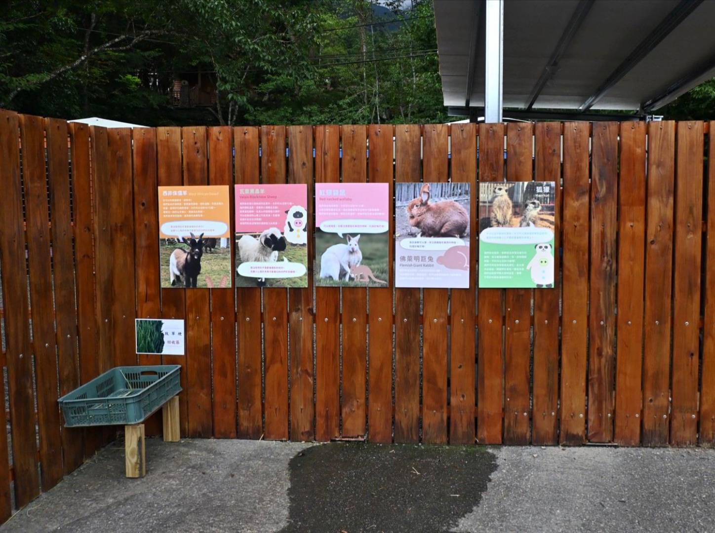 新竹縣尖石鄉溫泉會館推薦｜新月塢溫泉會館｜夜湯含早餐點心吧、可愛動物餵食體驗、附停車位，林木環繞泡湯放鬆，夜湯房型一次滿足！