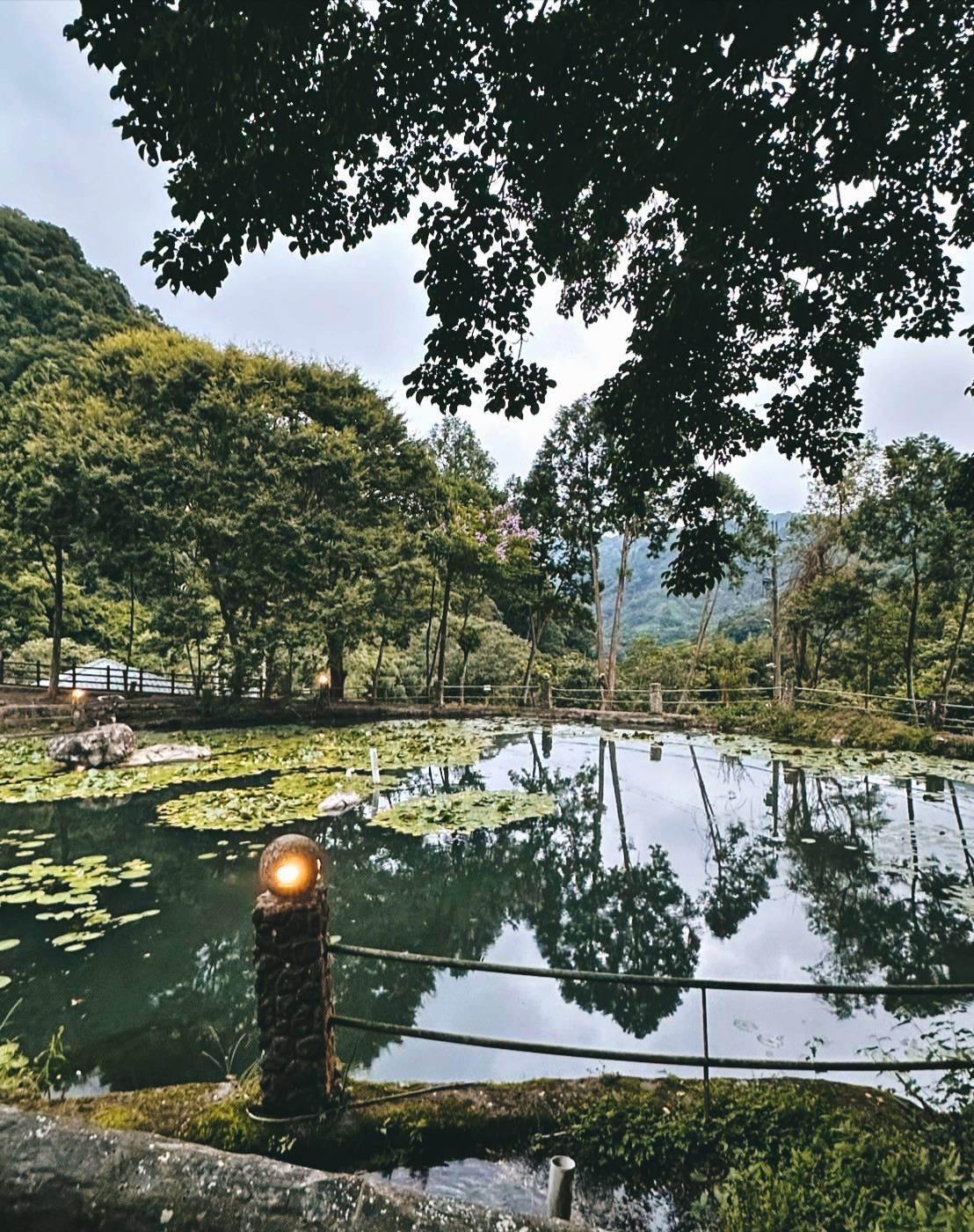 新竹縣尖石鄉溫泉會館推薦｜新月塢溫泉會館｜夜湯含早餐點心吧、可愛動物餵食體驗、附停車位，林木環繞泡湯放鬆，夜湯房型一次滿足！