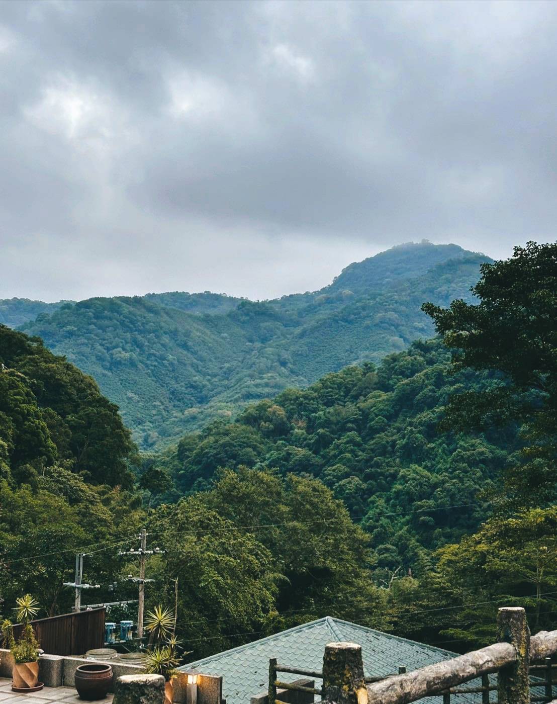 新竹縣尖石鄉溫泉會館推薦｜新月塢溫泉會館｜夜湯含早餐點心吧、可愛動物餵食體驗、附停車位，林木環繞泡湯放鬆，夜湯房型一次滿足！