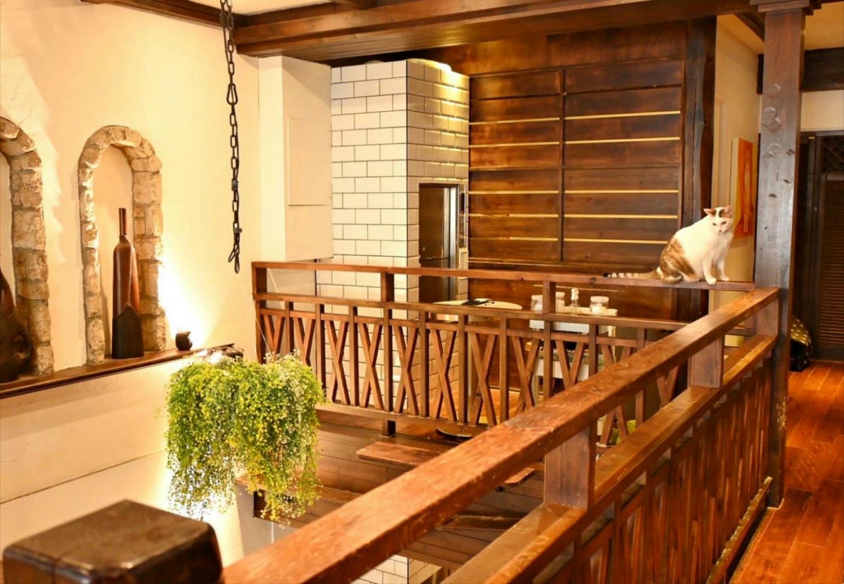 新竹咖啡廳推薦｜新竹市北區招財咖啡｜每日限量人氣餐點與手作甜點，水豚君與多隻貓咪陪伴，貓咪控必訪，甜點控一吃就愛上！