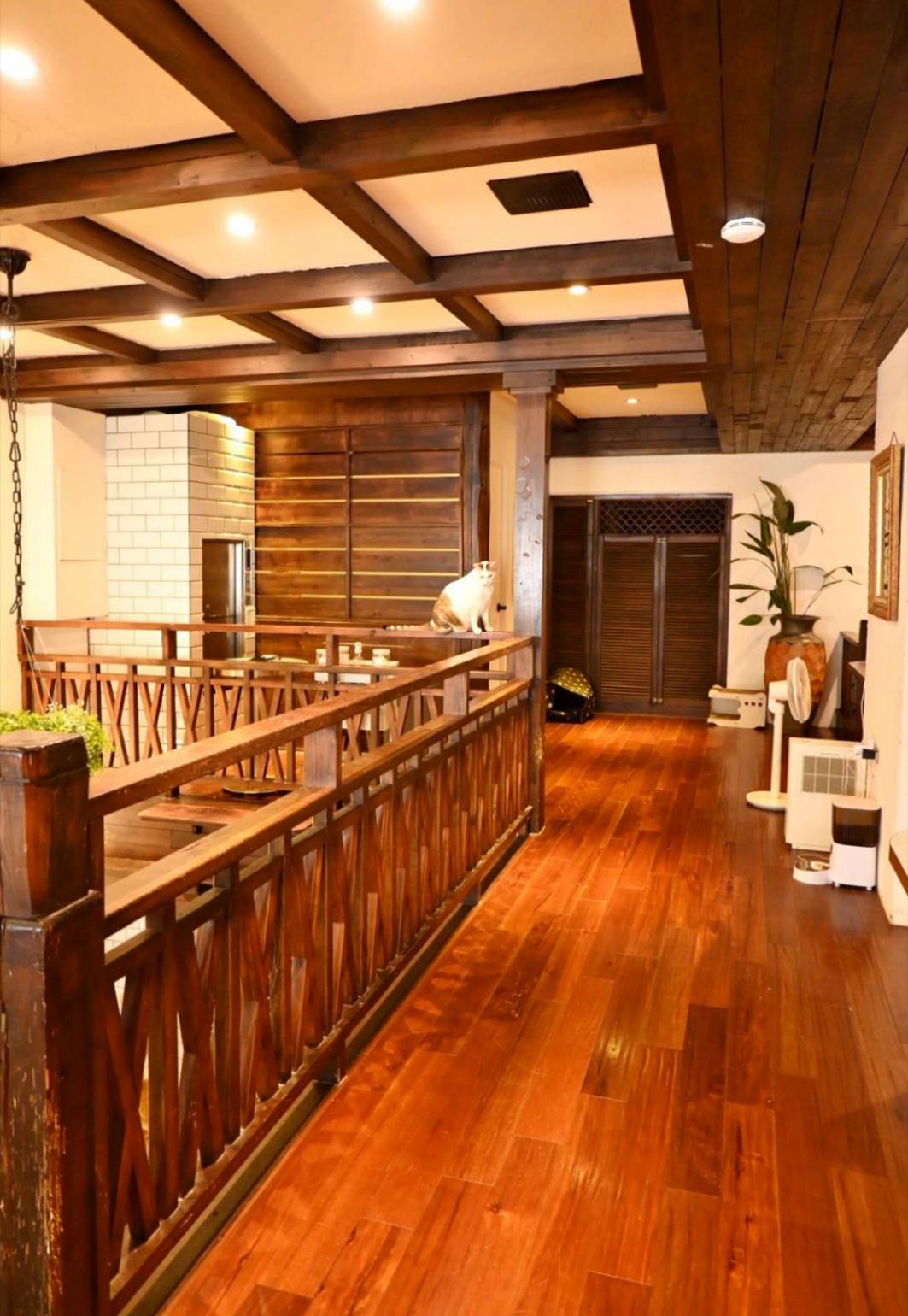 新竹咖啡廳推薦｜新竹市北區招財咖啡｜每日限量人氣餐點與手作甜點，水豚君與多隻貓咪陪伴，貓咪控必訪，甜點控一吃就愛上！