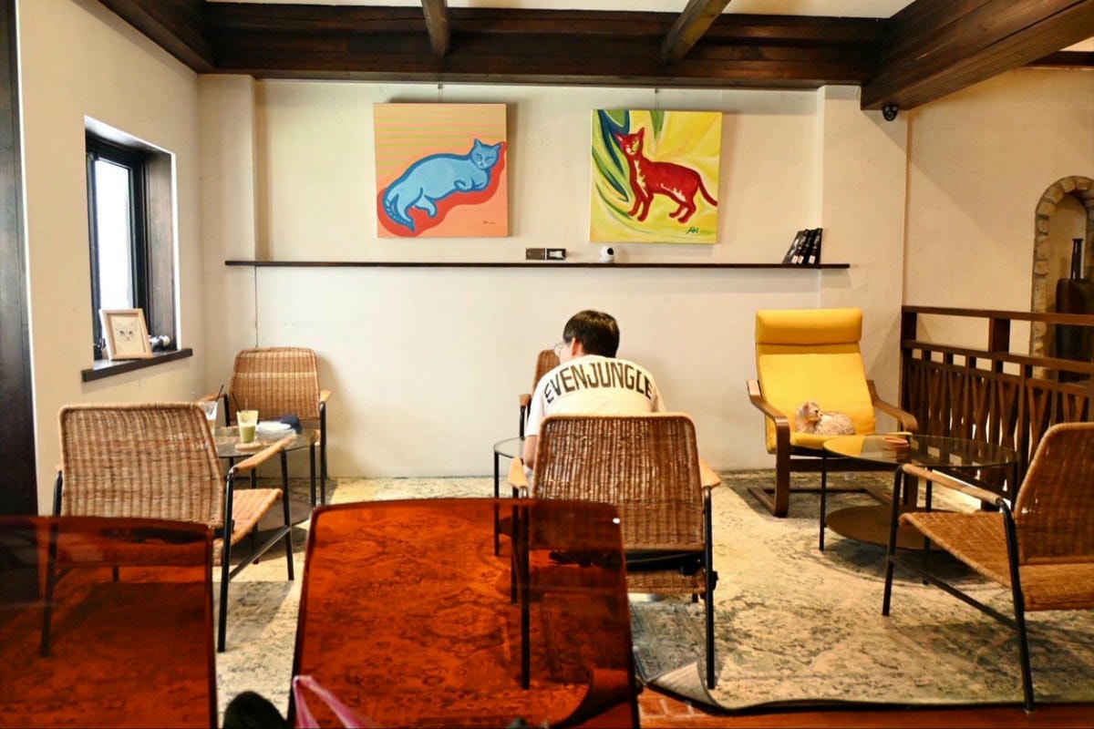 新竹咖啡廳推薦｜新竹市北區招財咖啡｜每日限量人氣餐點與手作甜點，水豚君與多隻貓咪陪伴，貓咪控必訪，甜點控一吃就愛上！