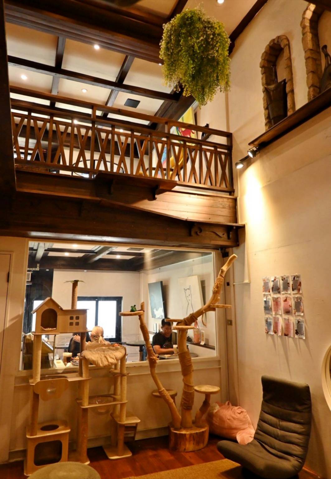 新竹咖啡廳推薦｜新竹市北區招財咖啡｜每日限量人氣餐點與手作甜點，水豚君與多隻貓咪陪伴，貓咪控必訪，甜點控一吃就愛上！