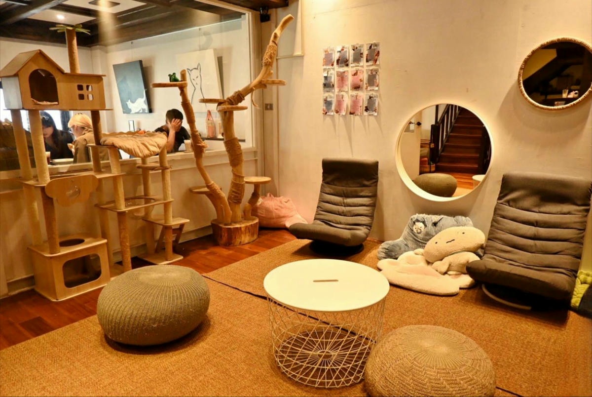 新竹咖啡廳推薦｜新竹市北區招財咖啡｜每日限量人氣餐點與手作甜點，水豚君與多隻貓咪陪伴，貓咪控必訪，甜點控一吃就愛上！