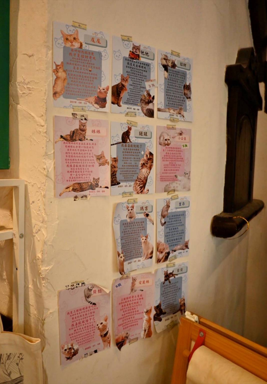 新竹咖啡廳推薦｜新竹市北區招財咖啡｜每日限量人氣餐點與手作甜點，水豚君與多隻貓咪陪伴，貓咪控必訪，甜點控一吃就愛上！