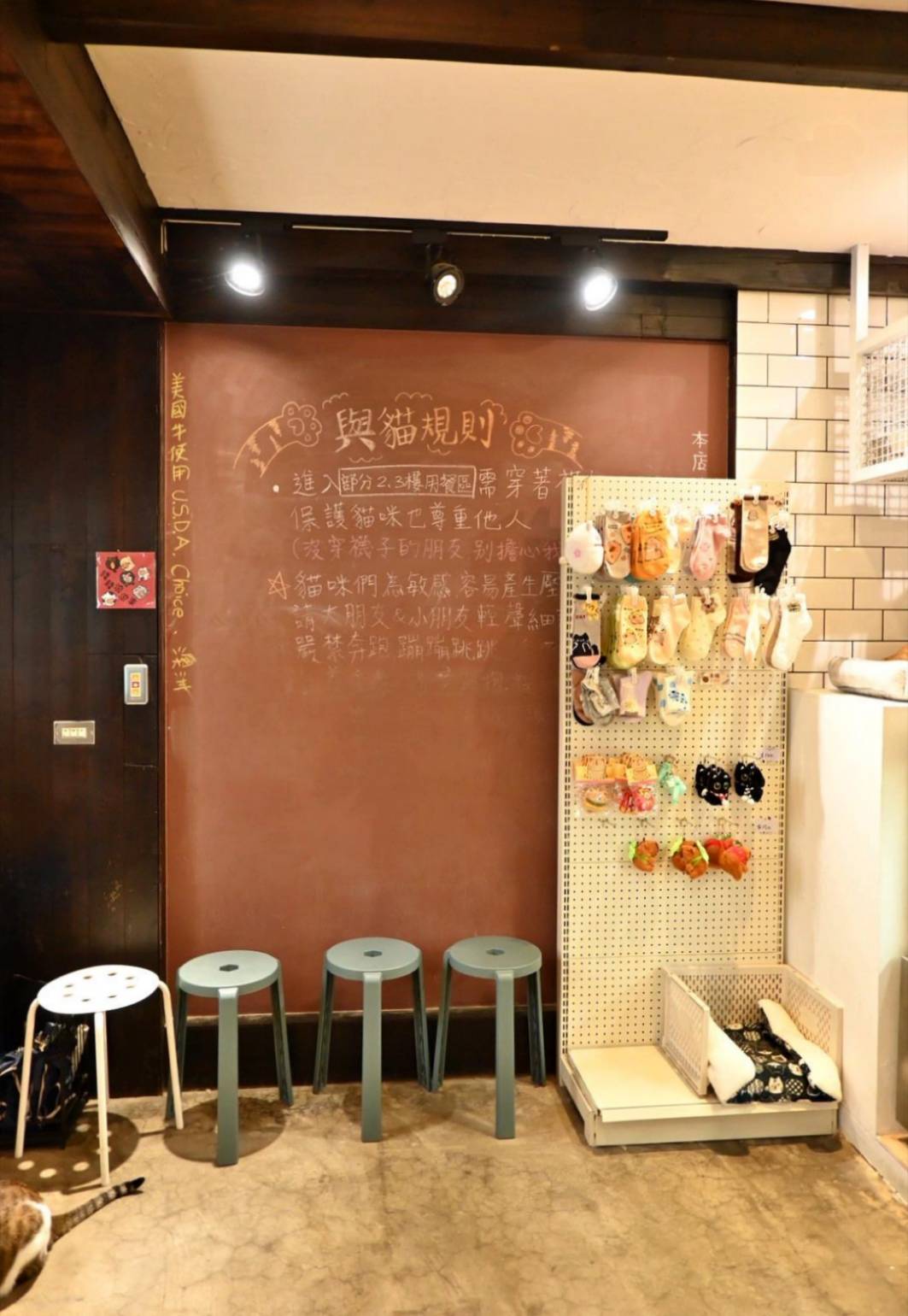 新竹咖啡廳推薦｜新竹市北區招財咖啡｜每日限量人氣餐點與手作甜點，水豚君與多隻貓咪陪伴，貓咪控必訪，甜點控一吃就愛上！