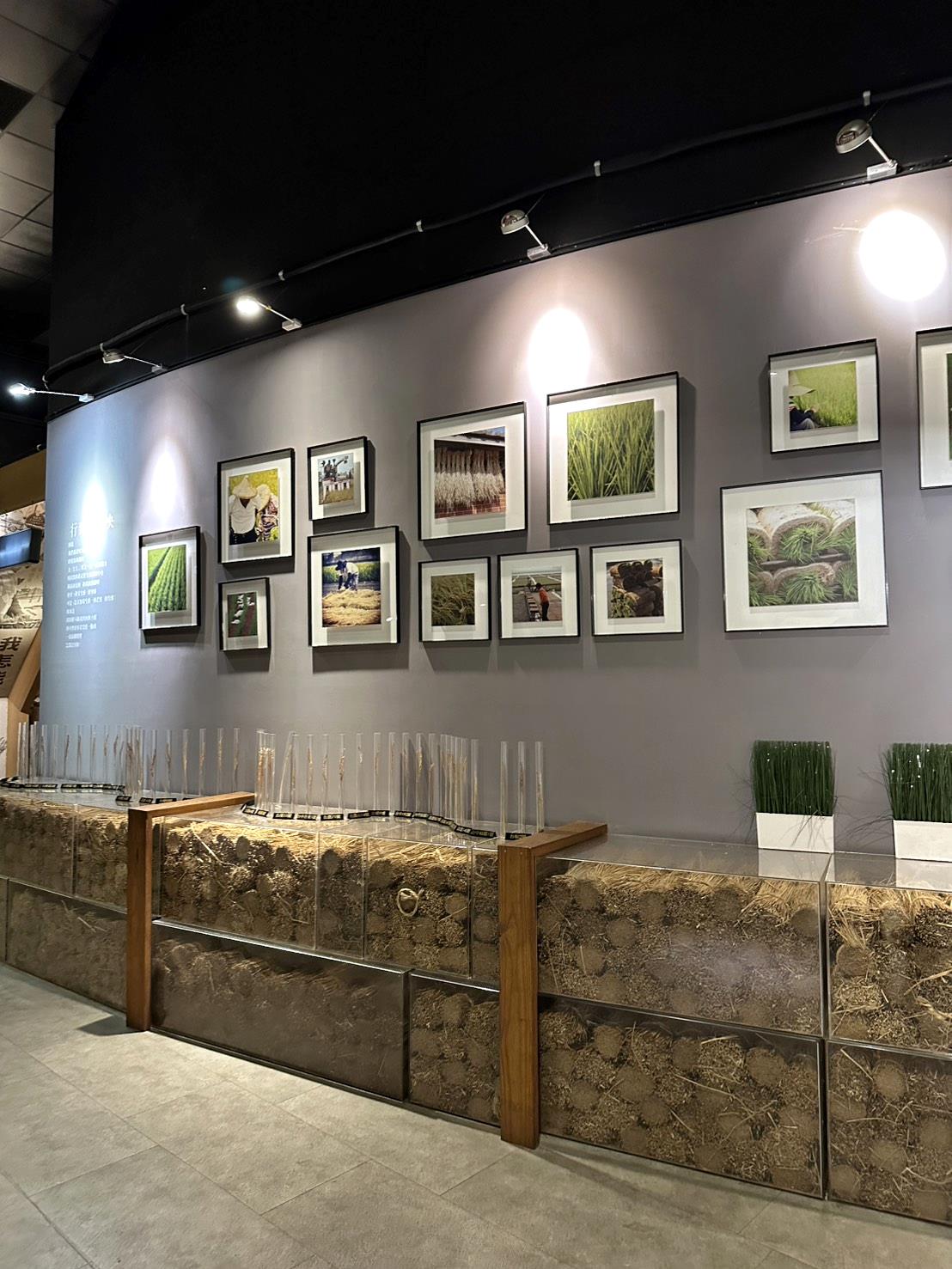 彰化縣埤頭鄉無菜單料理推薦｜燒味鮮私房菜無菜單料理｜主廚匠心手作海鮮豚物鮮蔬炊飯，搭配特調飲品私房美饌，創意饗宴讓人一試成主顧！