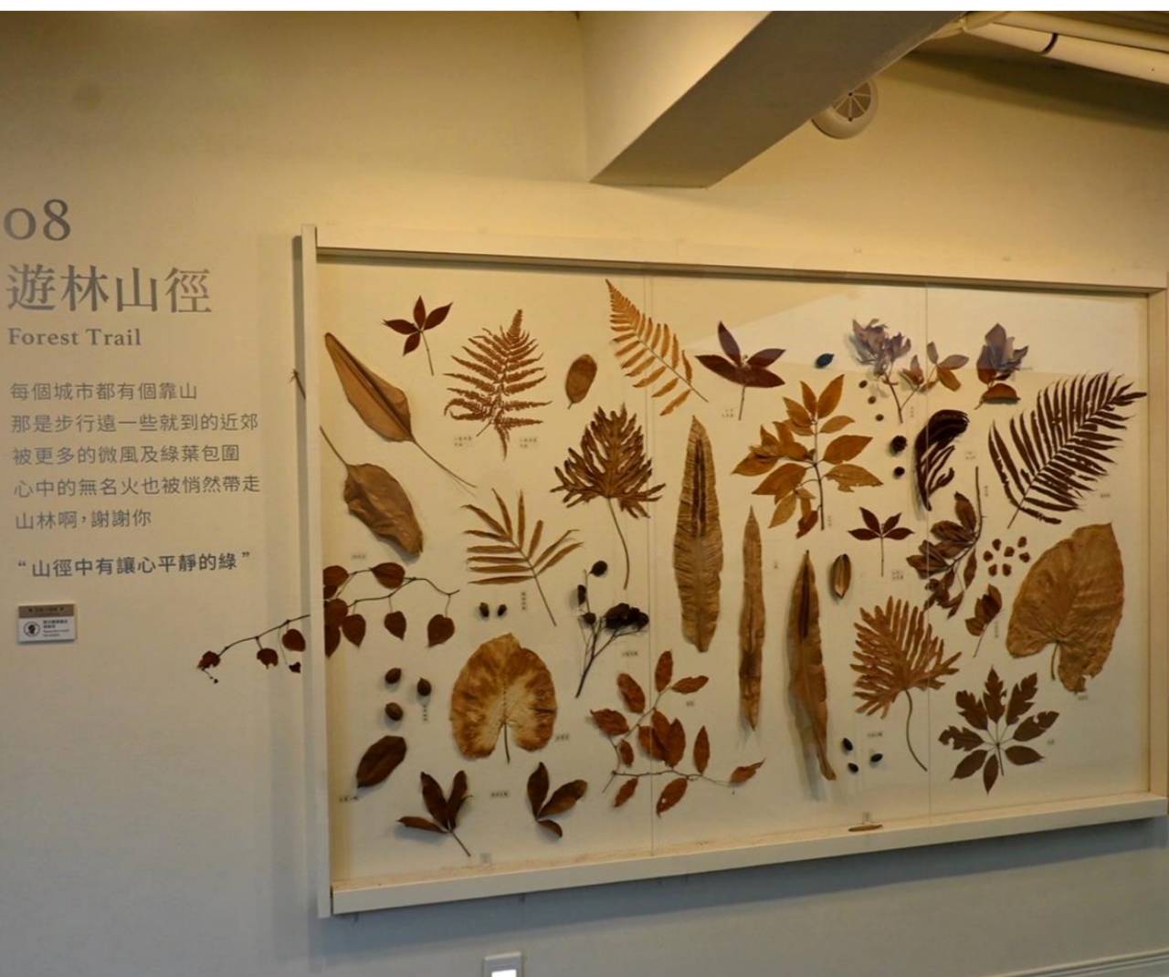 台中市西屯區住宿推薦｜台中逢甲住宿．葉綠宿旅館Green Hotel｜步行逢甲夜市，電梯豪華四人房一泊一食，逢甲吃喝玩樂、生活機能便利入住心得分享！