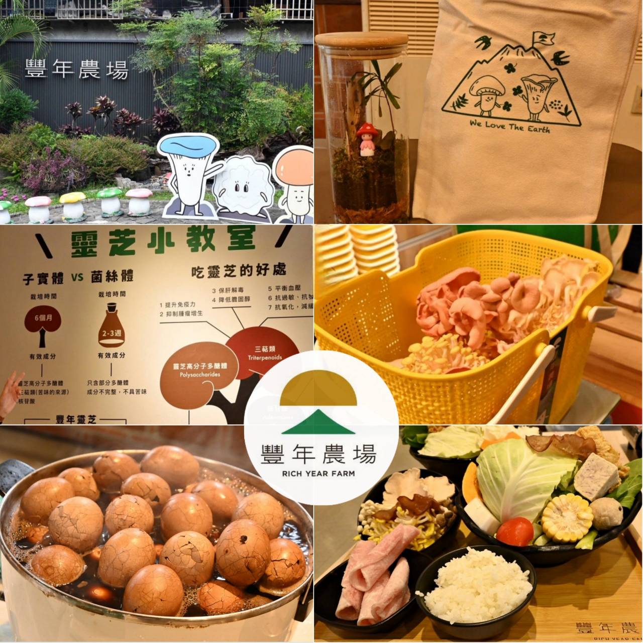 南投埔里親子旅遊｜豐年靈芝菇類生態農場｜免門票、趣味採菇樂、DIY生態瓶、鮮採菇火鍋｜交通、美食全攻略！