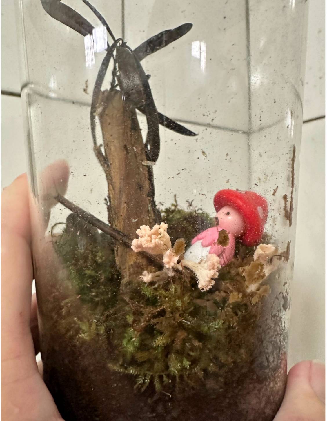 南投埔里親子旅遊|豐年靈芝菇類生態農場|免門票、趣味採菇樂、DIY生態瓶、鮮採菇火鍋|交通、美食全攻略! - 第84張圖 南投埔里親子旅遊|豐年靈芝菇類生態農場|免門票、趣味採菇樂、DIY生態瓶、鮮採菇火鍋|交通、美食全攻略!