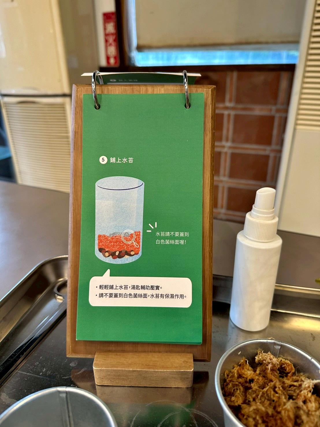 南投埔里親子旅遊｜豐年靈芝菇類生態農場｜免門票、趣味採菇樂、DIY生態瓶、鮮採菇火鍋｜交通、美食全攻略！