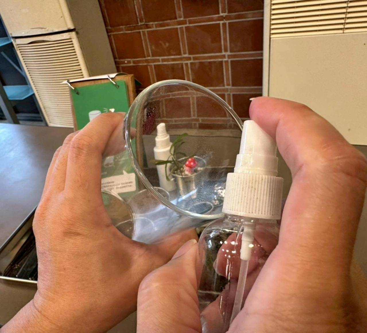 南投埔里親子旅遊｜豐年靈芝菇類生態農場｜免門票、趣味採菇樂、DIY生態瓶、鮮採菇火鍋｜交通、美食全攻略！