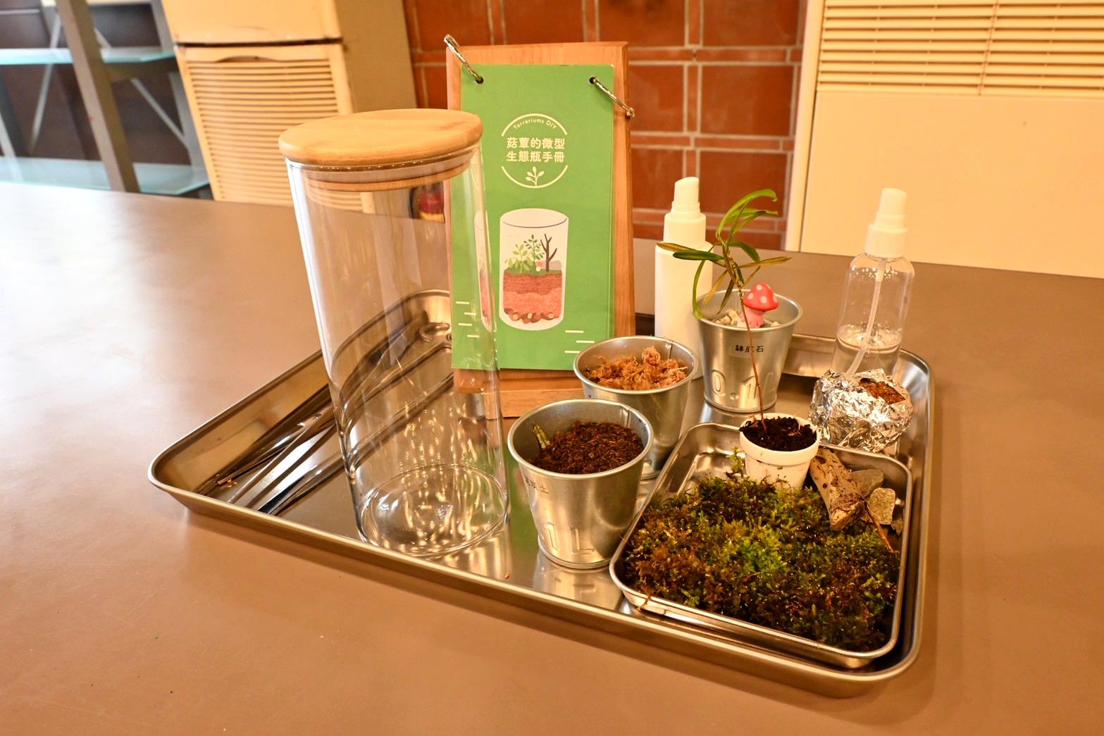 南投埔里親子旅遊｜豐年靈芝菇類生態農場｜免門票、趣味採菇樂、DIY生態瓶、鮮採菇火鍋｜交通、美食全攻略！