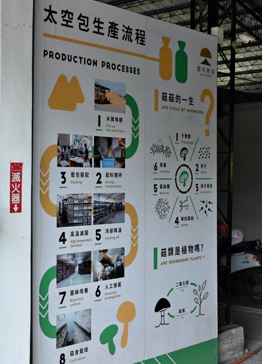 南投埔里親子旅遊｜豐年靈芝菇類生態農場｜免門票、趣味採菇樂、DIY生態瓶、鮮採菇火鍋｜交通、美食全攻略！