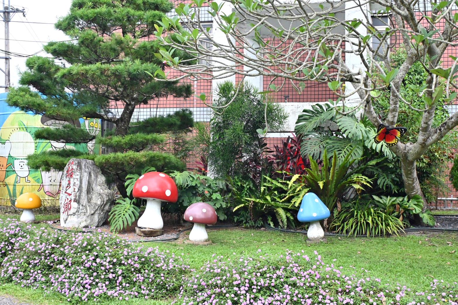 南投埔里親子旅遊｜豐年靈芝菇類生態農場｜免門票、趣味採菇樂、DIY生態瓶、鮮採菇火鍋｜交通、美食全攻略！