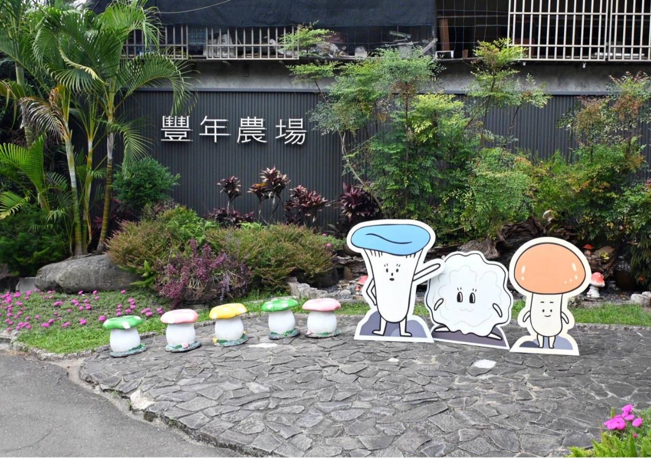 南投埔里親子旅遊｜豐年靈芝菇類生態農場｜免門票、趣味採菇樂、DIY生態瓶、鮮採菇火鍋｜交通、美食全攻略！