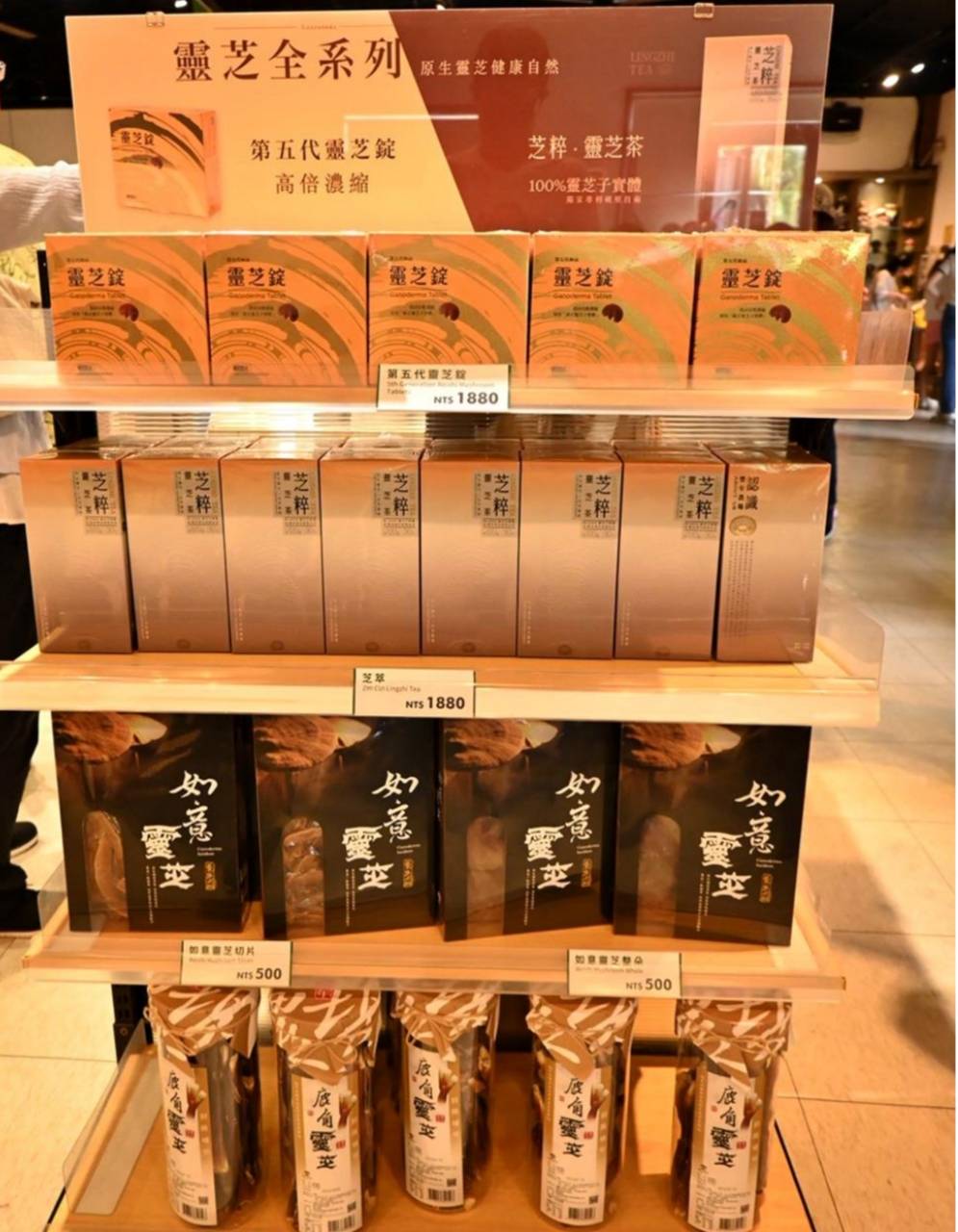 南投埔里親子旅遊｜豐年靈芝菇類生態農場｜免門票、趣味採菇樂、DIY生態瓶、鮮採菇火鍋｜交通、美食全攻略！