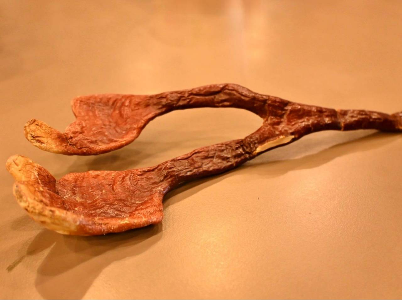 南投埔里親子旅遊｜豐年靈芝菇類生態農場｜免門票、趣味採菇樂、DIY生態瓶、鮮採菇火鍋｜交通、美食全攻略！