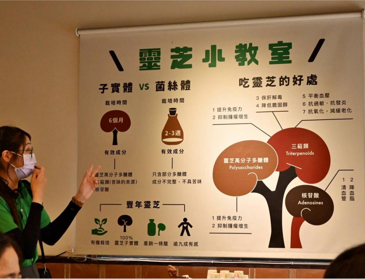 南投埔里親子旅遊｜豐年靈芝菇類生態農場｜免門票、趣味採菇樂、DIY生態瓶、鮮採菇火鍋｜交通、美食全攻略！