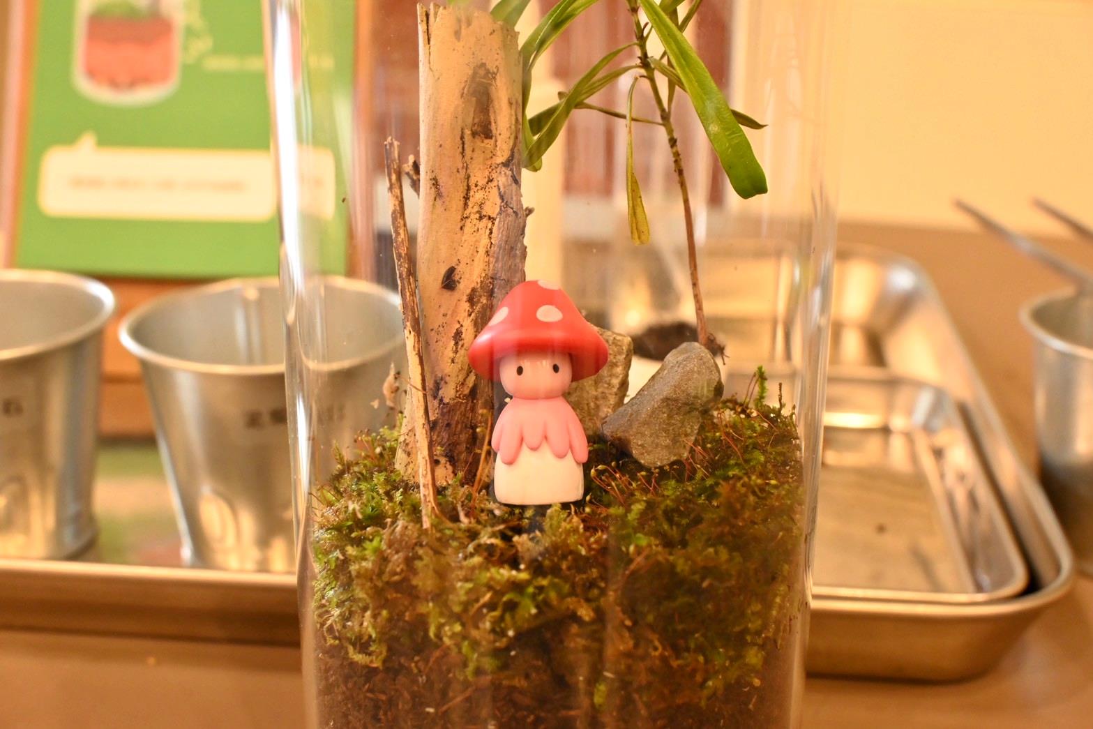 南投埔里親子旅遊｜豐年靈芝菇類生態農場｜免門票、趣味採菇樂、DIY生態瓶、鮮採菇火鍋｜交通、美食全攻略！