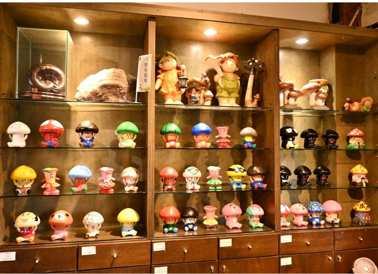 南投埔里親子旅遊｜豐年靈芝菇類生態農場｜免門票、趣味採菇樂、DIY生態瓶、鮮採菇火鍋｜交通、美食全攻略！