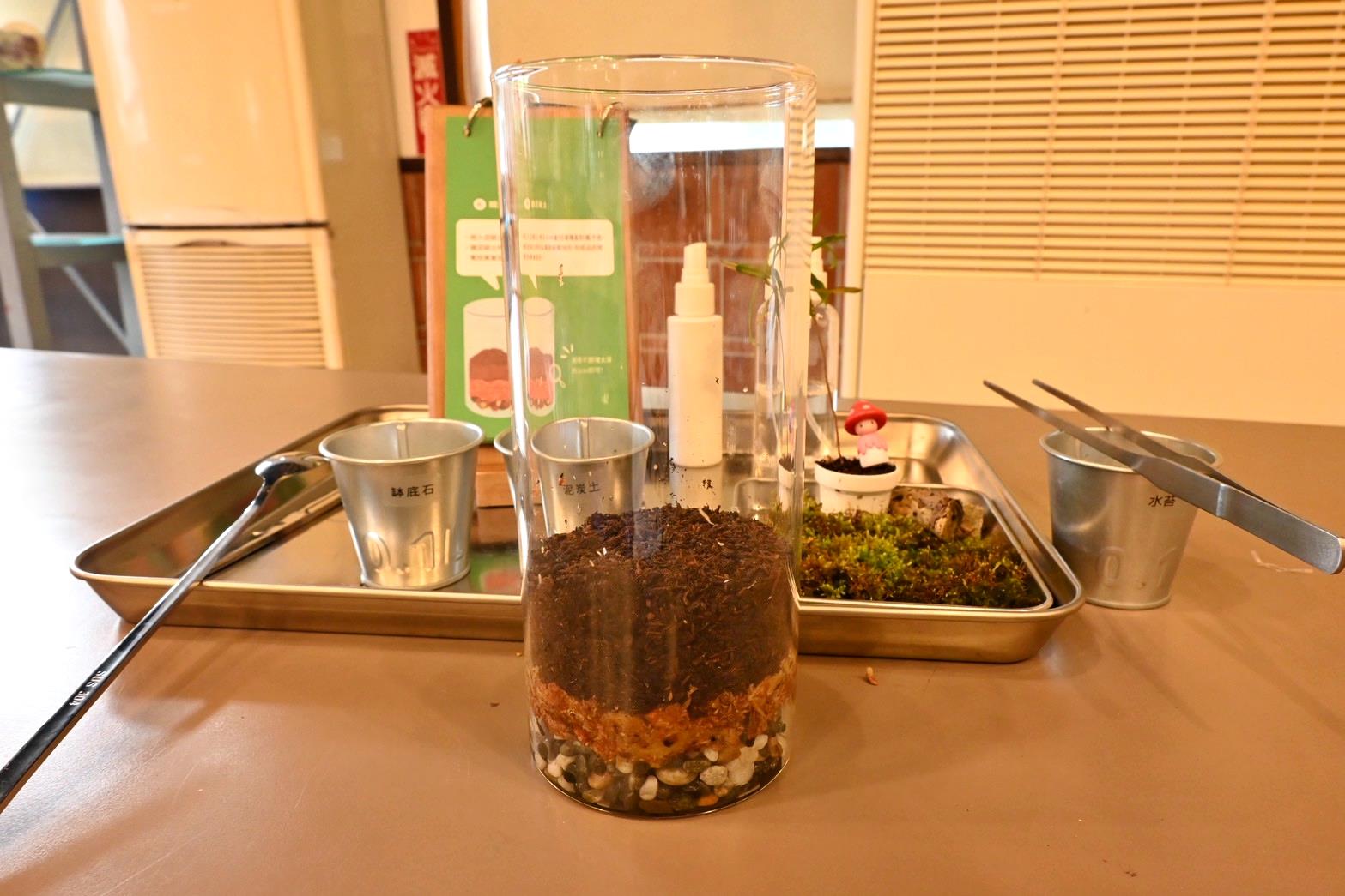 南投埔里親子旅遊｜豐年靈芝菇類生態農場｜免門票、趣味採菇樂、DIY生態瓶、鮮採菇火鍋｜交通、美食全攻略！