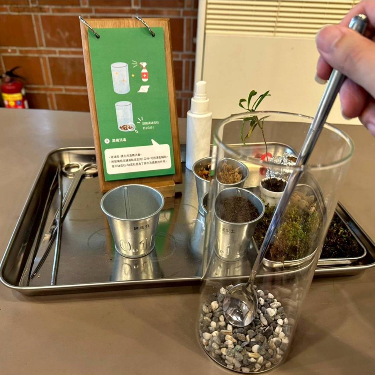 南投埔里親子旅遊|豐年靈芝菇類生態農場|免門票、趣味採菇樂、DIY生態瓶、鮮採菇火鍋|交通、美食全攻略! - 第66張圖