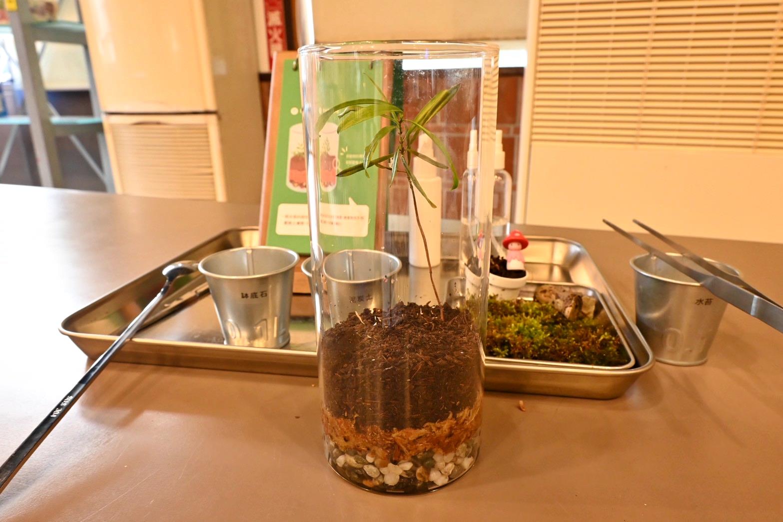 南投埔里親子旅遊|豐年靈芝菇類生態農場|免門票、趣味採菇樂、DIY生態瓶、鮮採菇火鍋|交通、美食全攻略! - 第74張圖