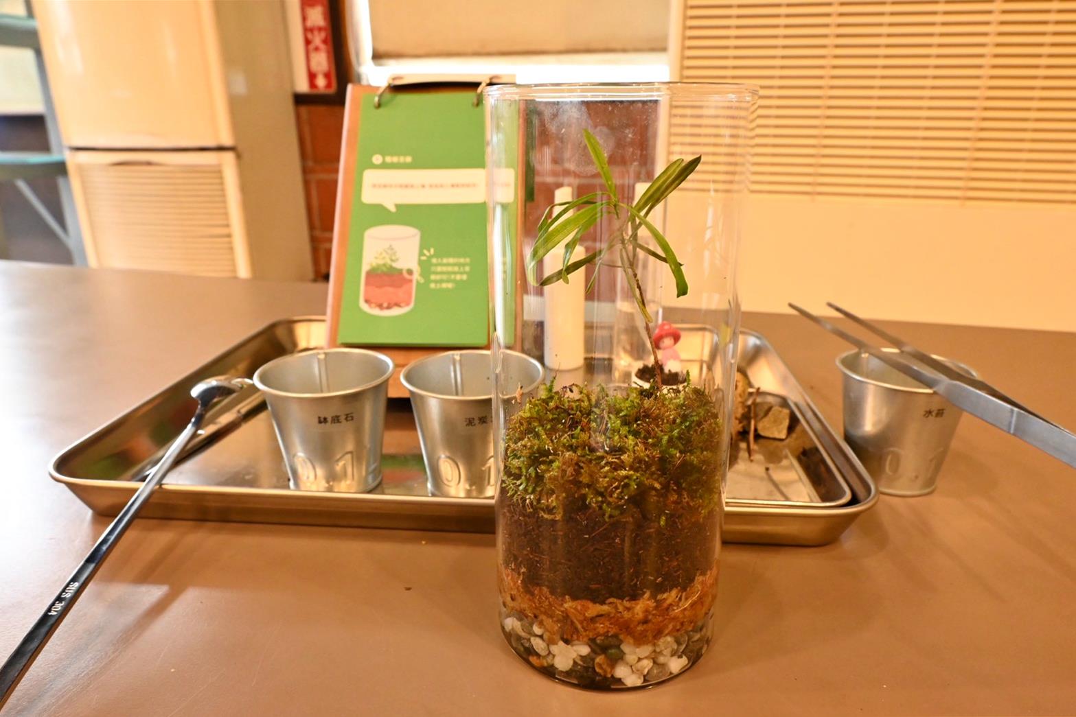 南投埔里親子旅遊|豐年靈芝菇類生態農場|免門票、趣味採菇樂、DIY生態瓶、鮮採菇火鍋|交通、美食全攻略! - 第76張圖