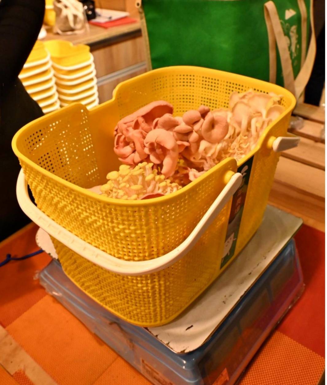 南投埔里親子旅遊|豐年靈芝菇類生態農場|免門票、趣味採菇樂、DIY生態瓶、鮮採菇火鍋|交通、美食全攻略! - 第55張圖