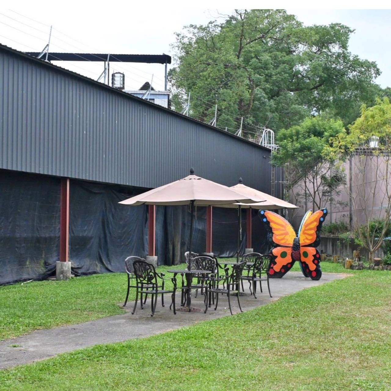 南投埔里親子旅遊|豐年靈芝菇類生態農場|免門票、趣味採菇樂、DIY生態瓶、鮮採菇火鍋|交通、美食全攻略! - 第11張圖