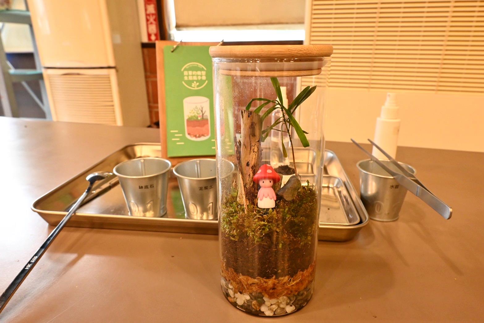 南投埔里親子旅遊|豐年靈芝菇類生態農場|免門票、趣味採菇樂、DIY生態瓶、鮮採菇火鍋|交通、美食全攻略! - 第80張圖