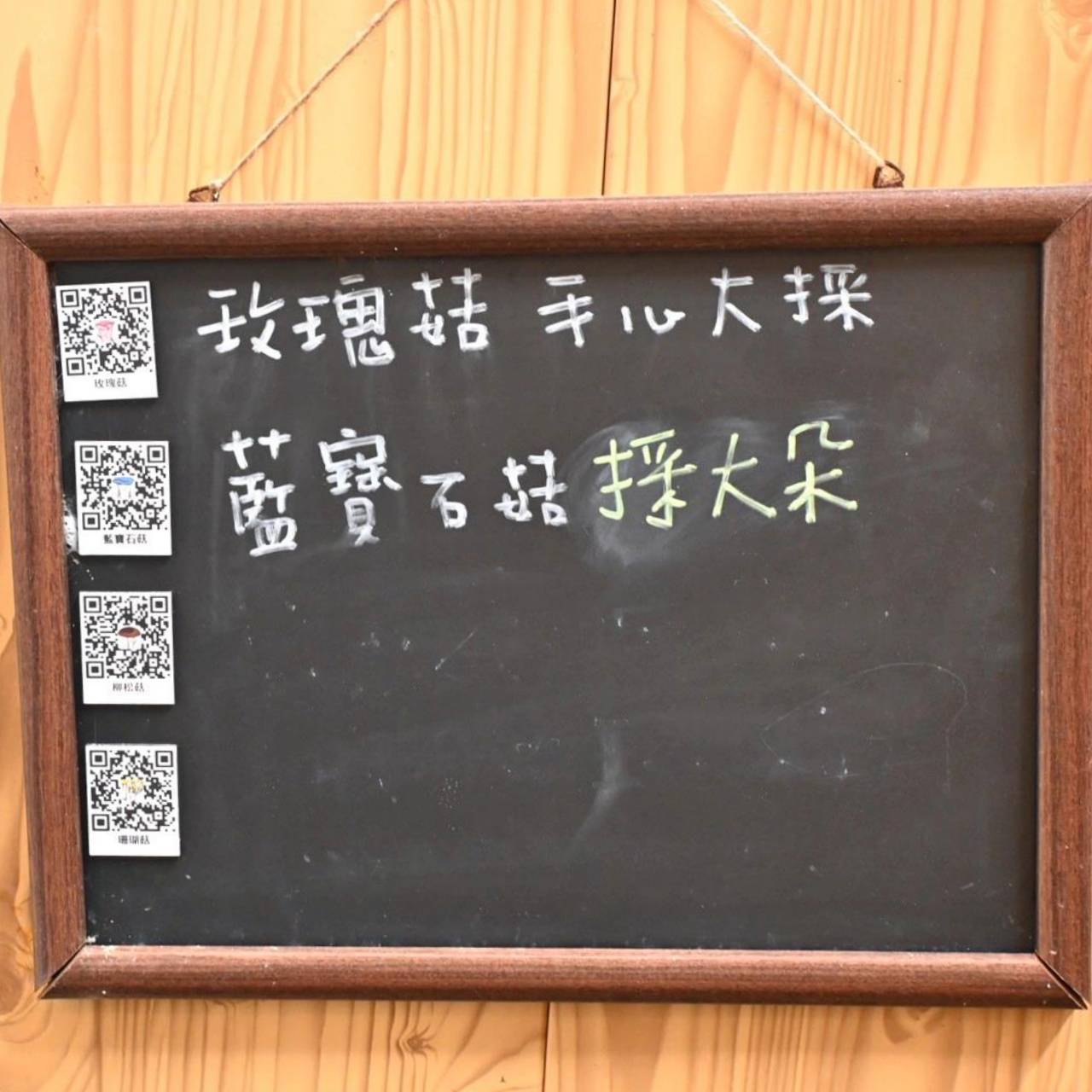 南投埔里親子旅遊|豐年靈芝菇類生態農場|免門票、趣味採菇樂、DIY生態瓶、鮮採菇火鍋|交通、美食全攻略! - 第35張圖