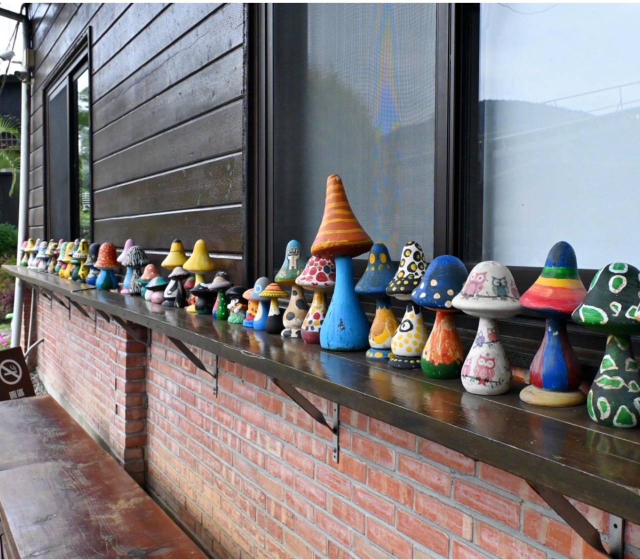 南投埔里親子旅遊|豐年靈芝菇類生態農場|免門票、趣味採菇樂、DIY生態瓶、鮮採菇火鍋|交通、美食全攻略! - 第18張圖