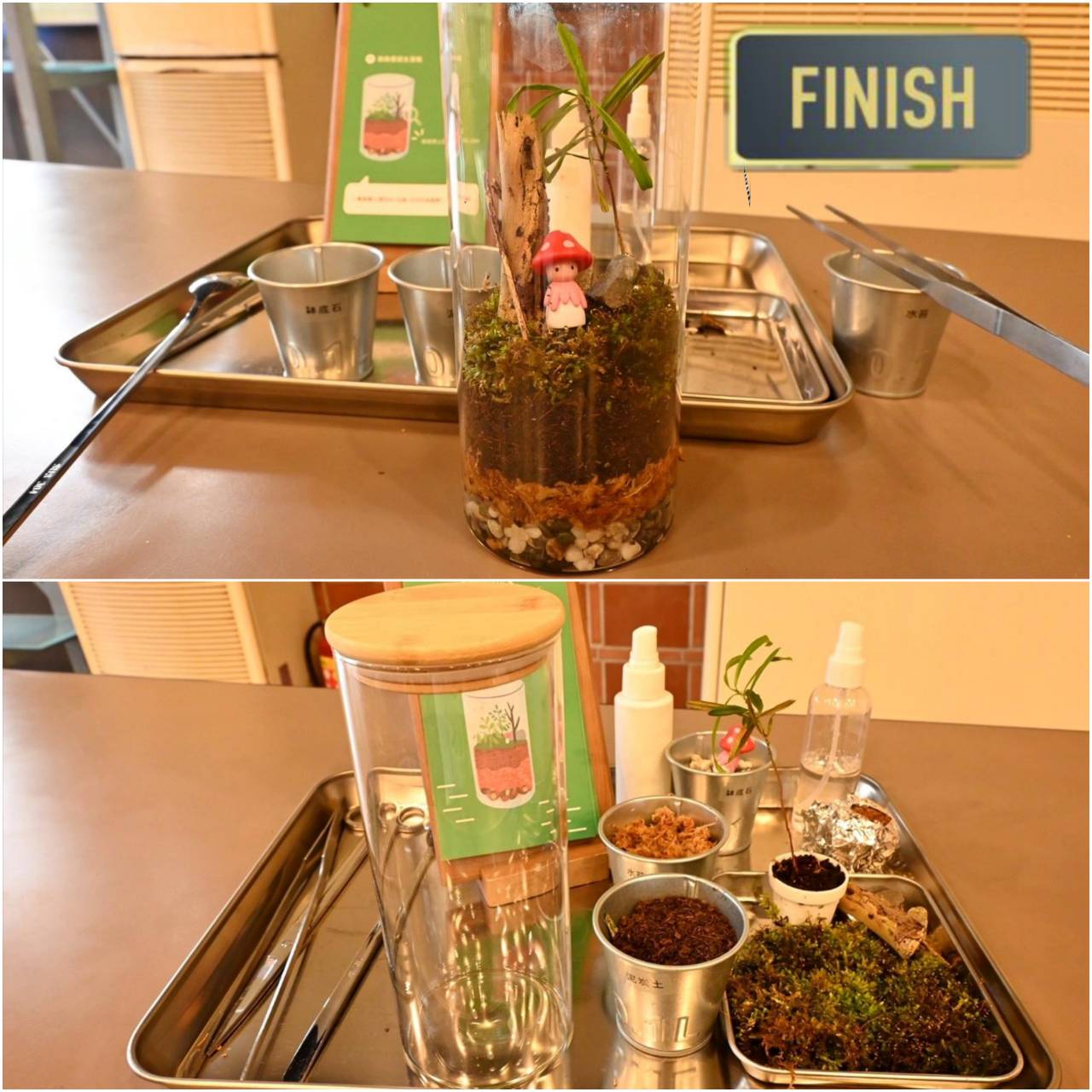 南投埔里親子旅遊|豐年靈芝菇類生態農場|免門票、趣味採菇樂、DIY生態瓶、鮮採菇火鍋|交通、美食全攻略! - 第82張圖