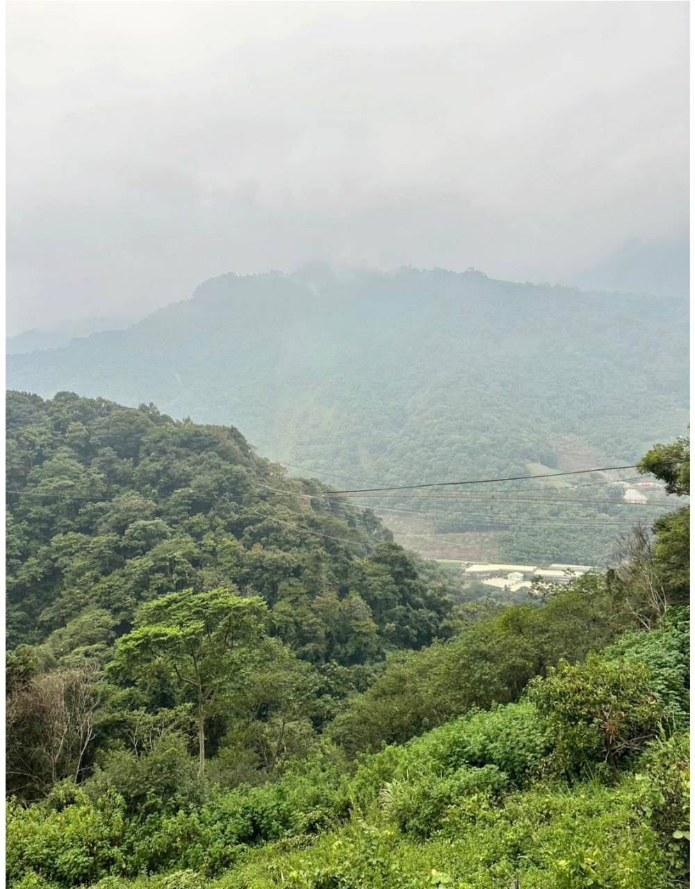 南投信義鄉東埔溫泉旅館推薦|東光行旅|弱鹼性碳酸泉、獨立湯屋、露天大眾泡湯池,一泊二食放鬆泡湯入住分享! - 第95張圖 南投信義鄉東埔溫泉旅館推薦|東光行旅|弱鹼性碳酸泉、獨立湯屋、露天大眾泡湯池,一泊二食放鬆泡湯入住分享!