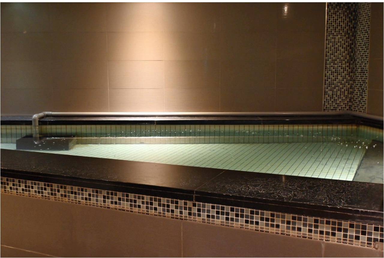 南投日月潭住宿｜力麗哲園飯店日潭館｜一覽湖景、品味星級料理與魚藻餐廳特色美食，開箱分享！