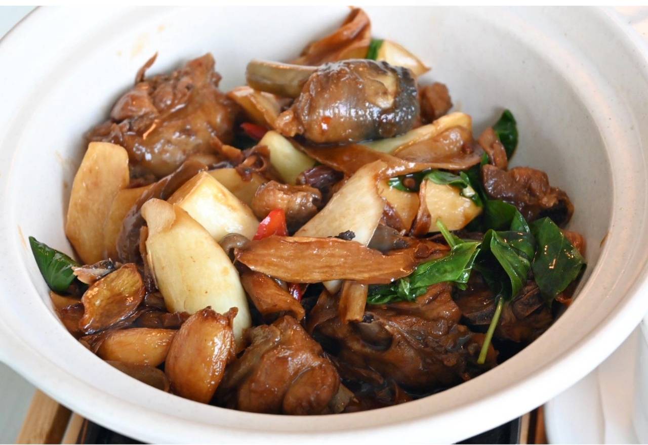 南投日月潭住宿｜力麗哲園飯店日潭館｜一覽湖景、品味星級料理與魚藻餐廳特色美食，開箱分享！